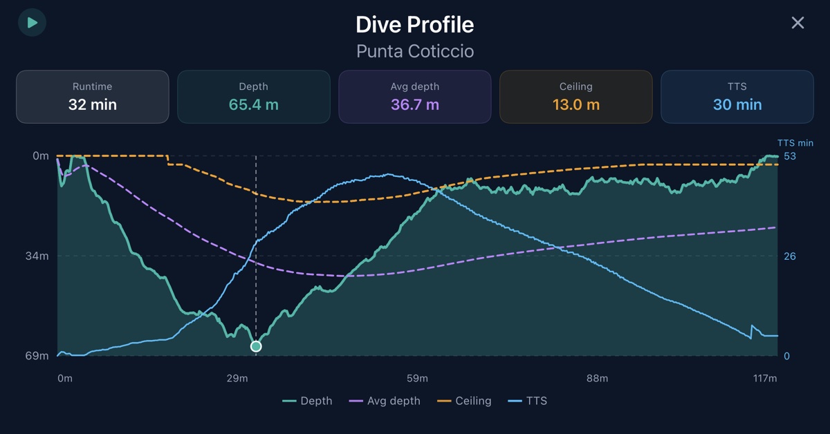 Dive Software QG Diving — Dive Logbook, Site Conditions & Dive Shop Software